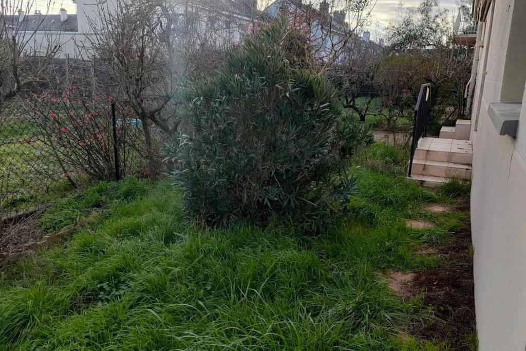 Appartement Cosy 2 Chambres Avec Jardin Les Ponts-de-Cé Buitenkant foto